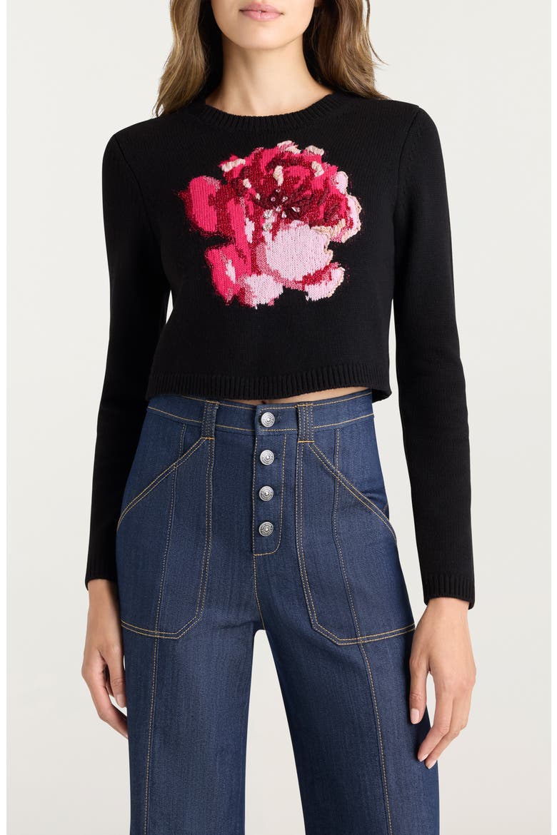 Heritage Rose Issa Wool Blend Crop Sweater, Main, color, BLACK/ SHEER PINK