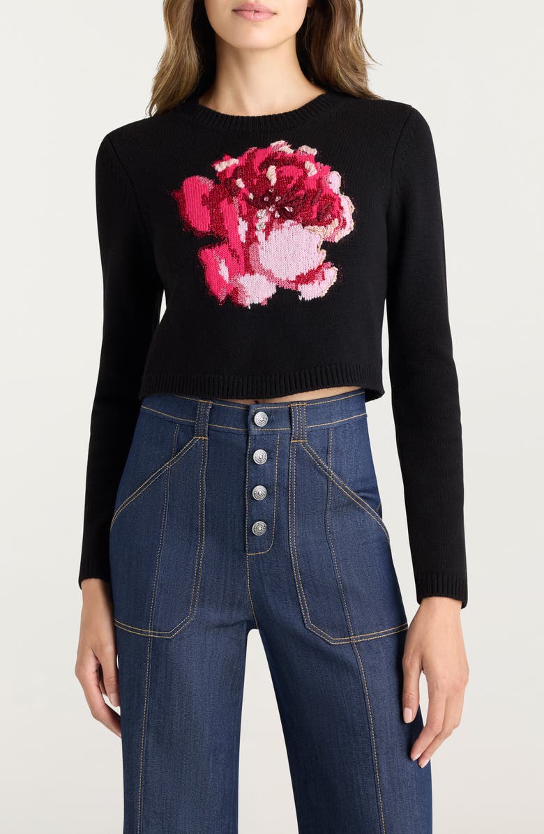 Cinq à Sept Heritage Rose Issa Wool Blend Crop Sweater, Main, color, Black/ Sheer Pink