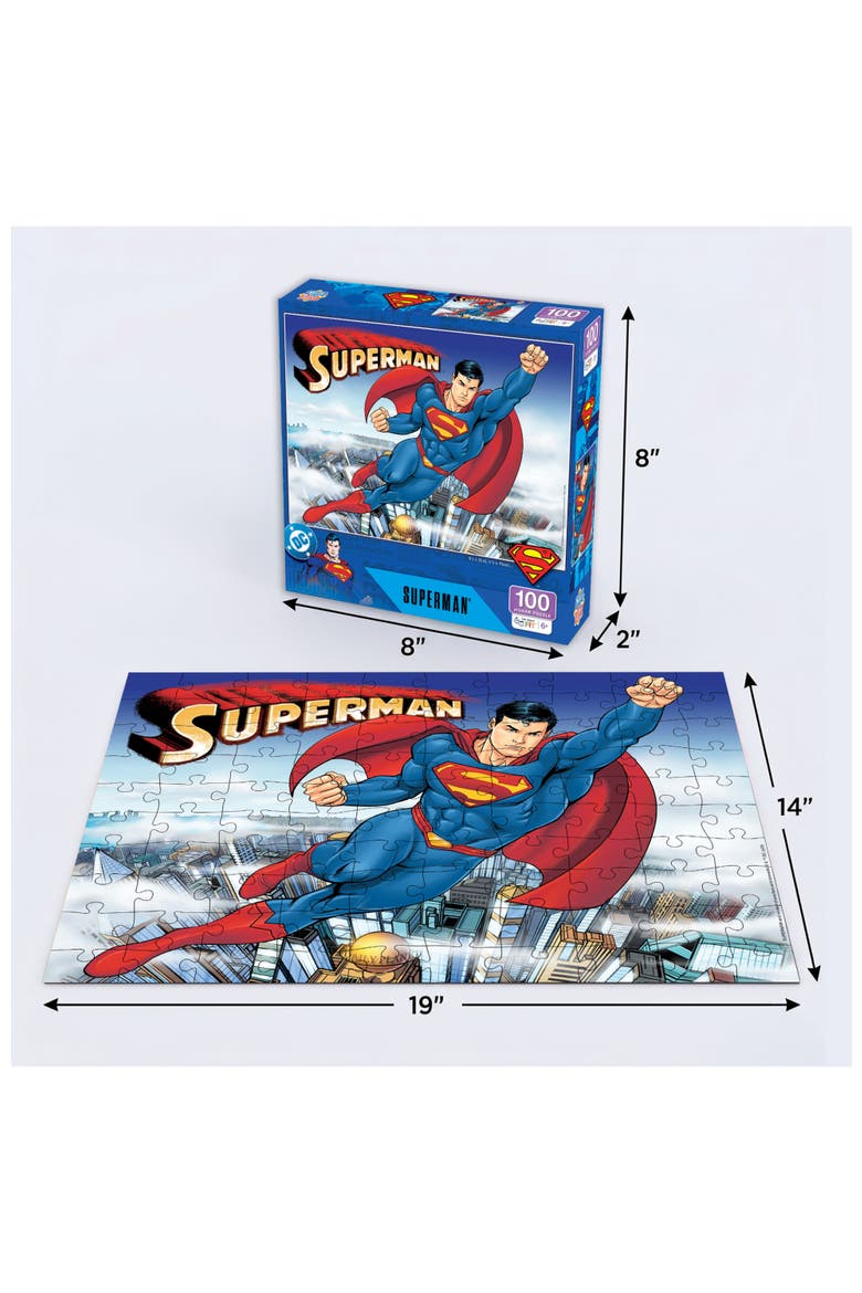 It's a Bird, It's a Plane 100pc Puzzle, Alternate, color, Multicolor