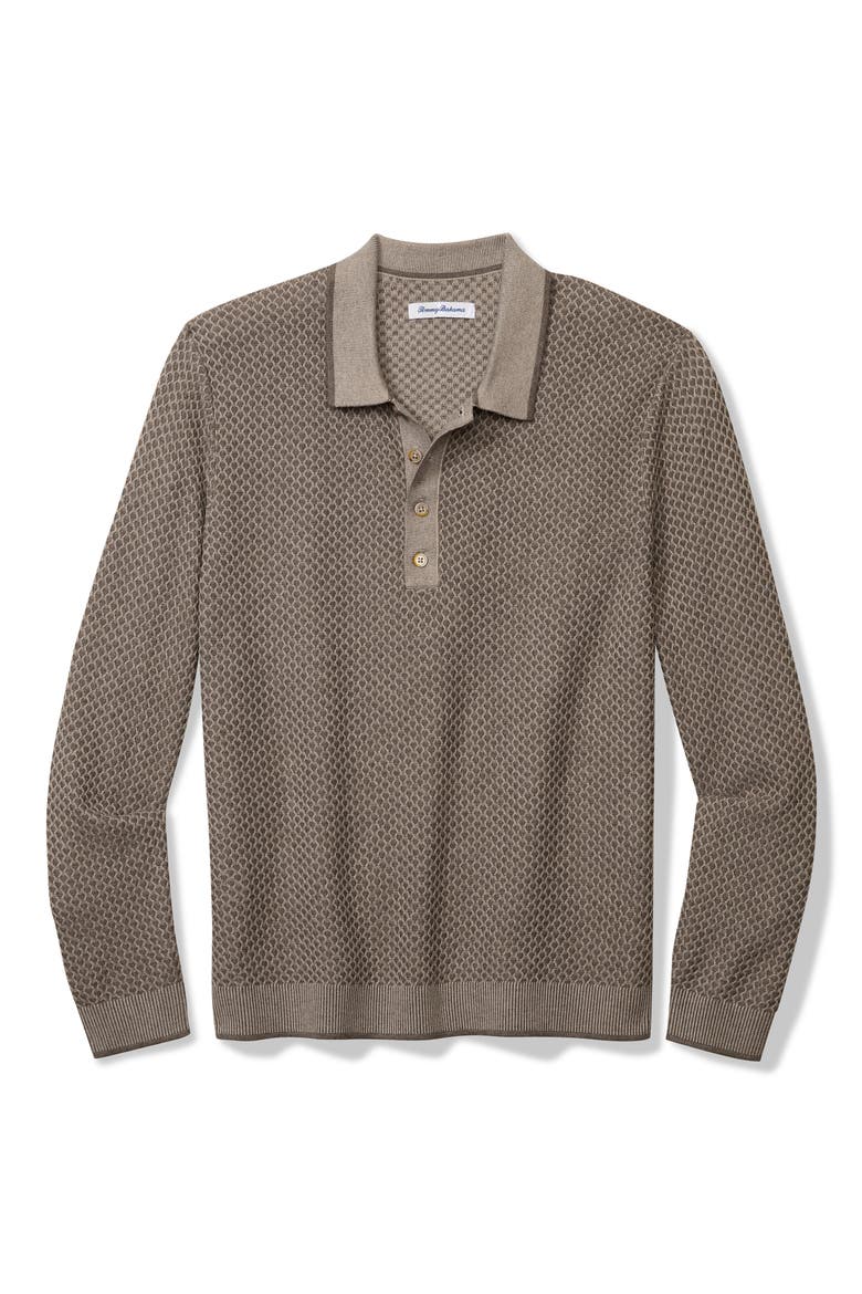 Coolside Valley Long Sleeve Polo Sweater, Main, color, CLOVE