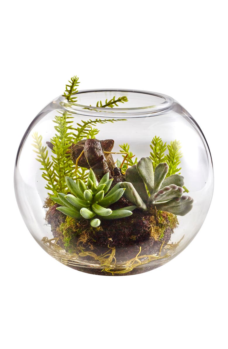 NEARLY NATURAL Mix Succulent Garden with Glass Vase, Main, color, Green