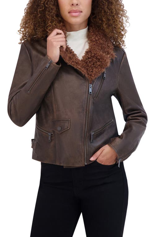Andrew Marc Paley Leather Jacket With Faux Shearling Collar In Brown