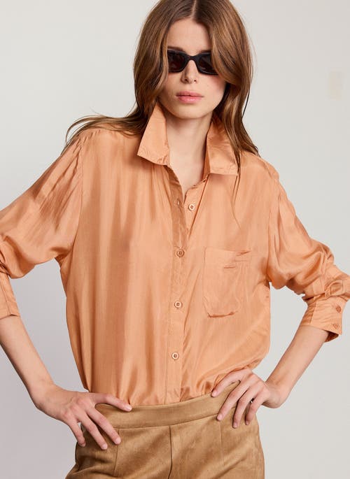 The Shirt By Rochelle Behrens The Silk Shirt In Brown