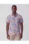 selected Tropical Mix Coral