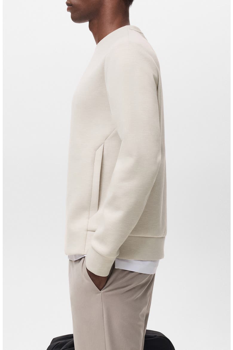 Crewneck Sweatshirt, Alternate, color, ICE GREY