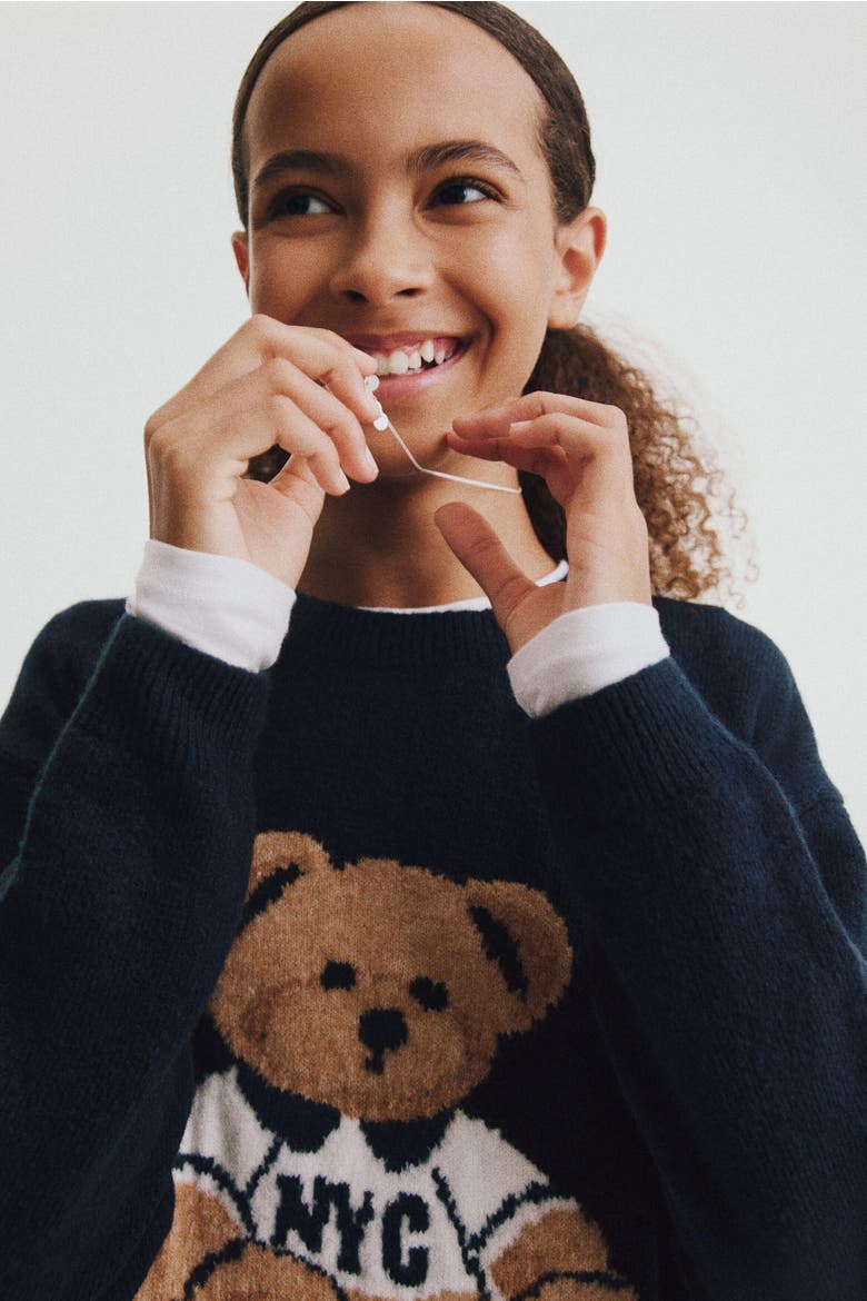 Loose-Fit Motif-Detail Sweater, Alternate, color, Navy blue/teddy bear