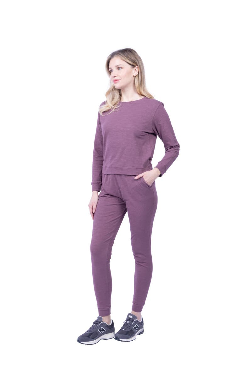 Tegan Organic Cotton Long Sleeve Pullover, Alternate, color, Brick