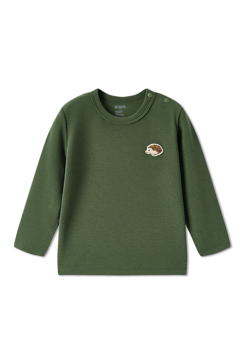 Brushed Long Sleeve T-Shirt, Main, color, Dark Green