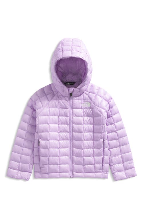 The North Face Kids' Thermoball Eco Hooded Jacket In Purple