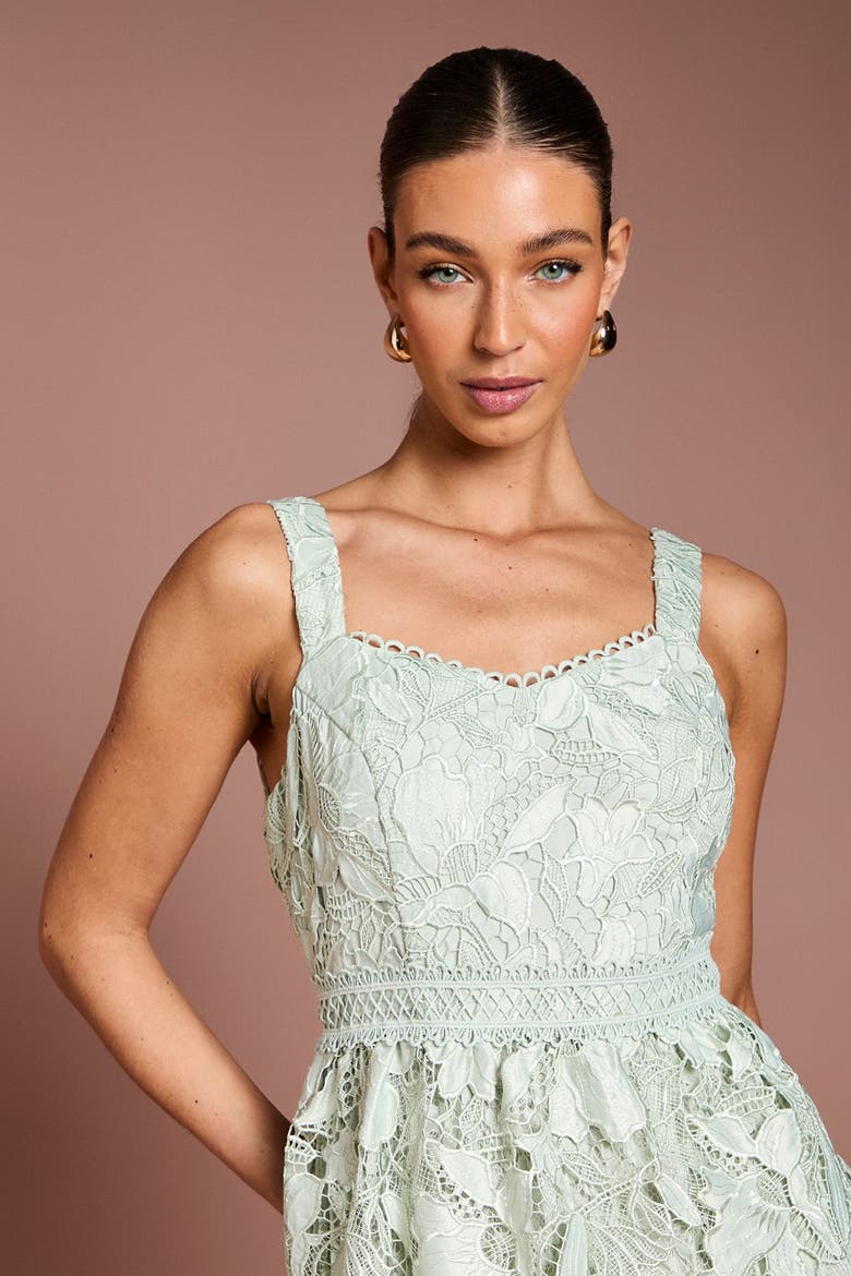 Lace Peplum Midi Dress, Alternate, color, Sage