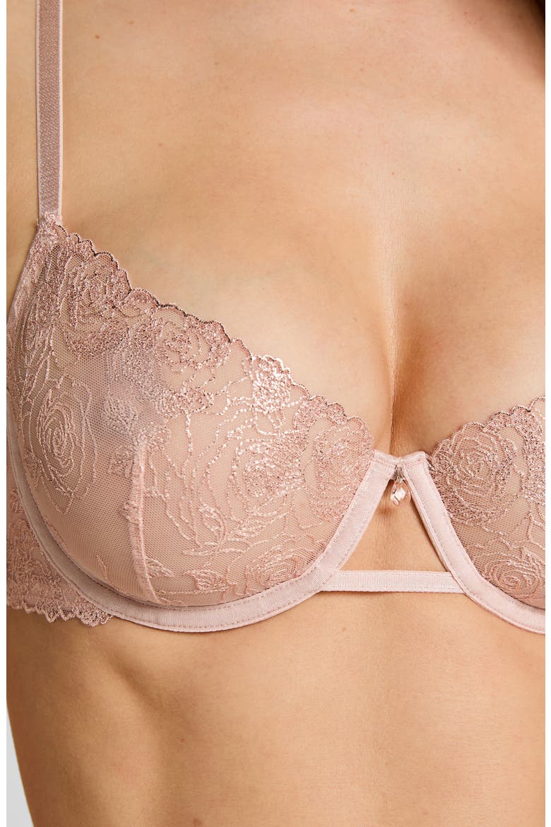 Hollie Embroidered Mesh Underwire Bra, Alternate, color, ROSE SMOKE