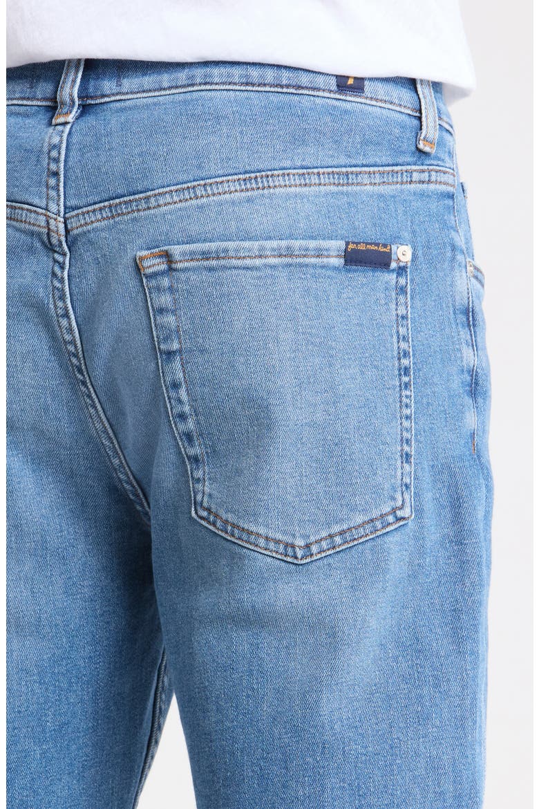The Straight Leg Jeans, Alternate, color, PINES