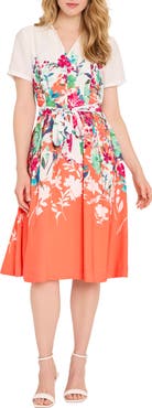 Tahari ASL Floral Fit & Flare Dress