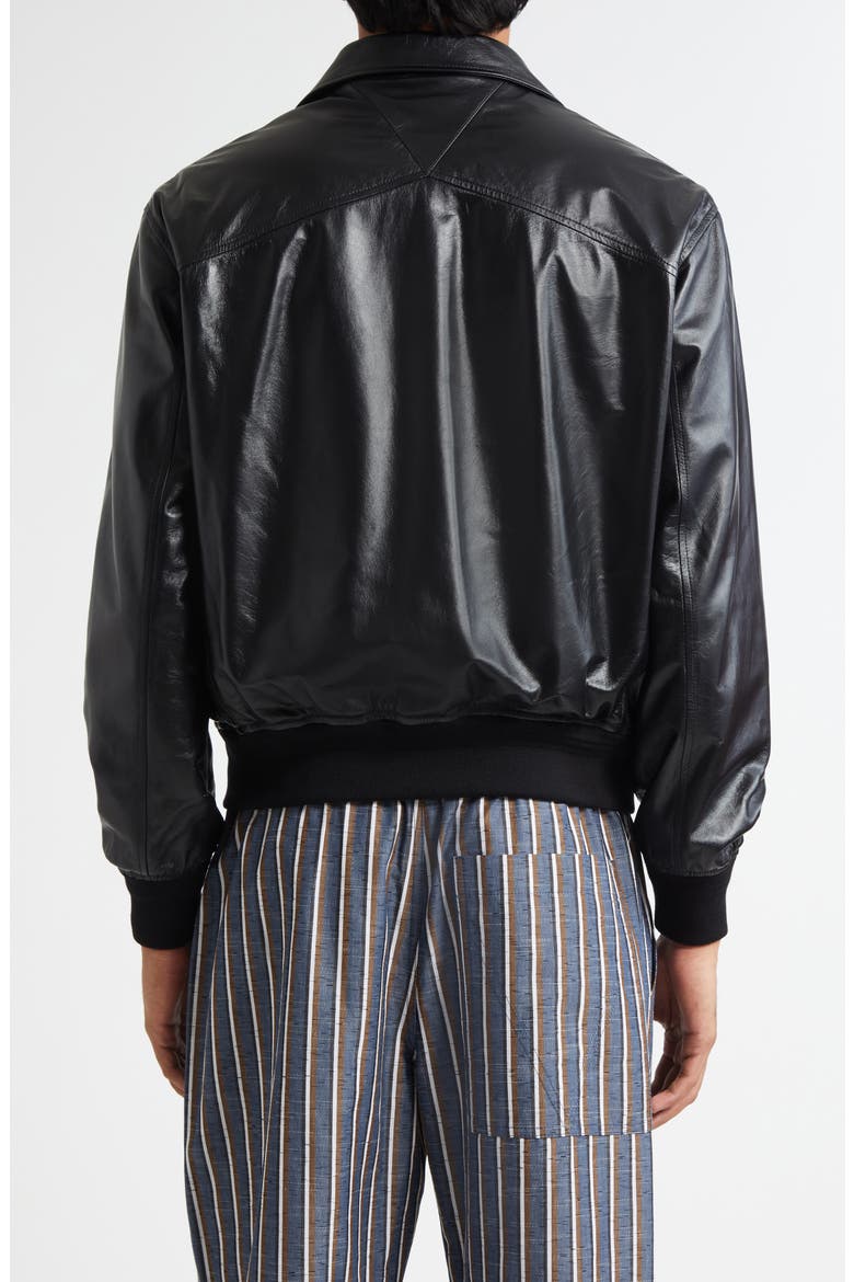 Lambskin Leather Blouson Jacket, Alternate, color, 1000 BLACK
