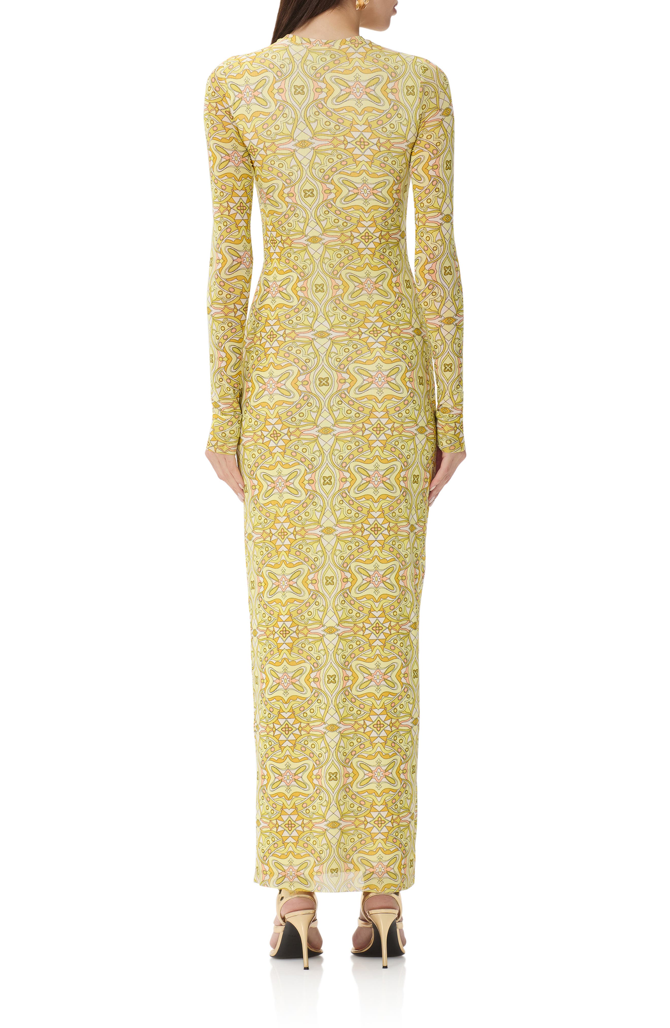 Didi Print Long Sleeve Maxi Dress - image 4