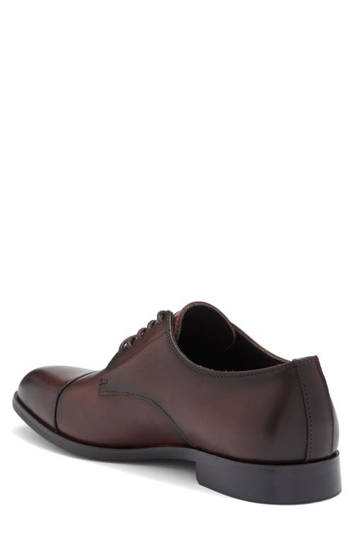 Vittorio Russo Judge Cap Toe Derby In Burnished Brown