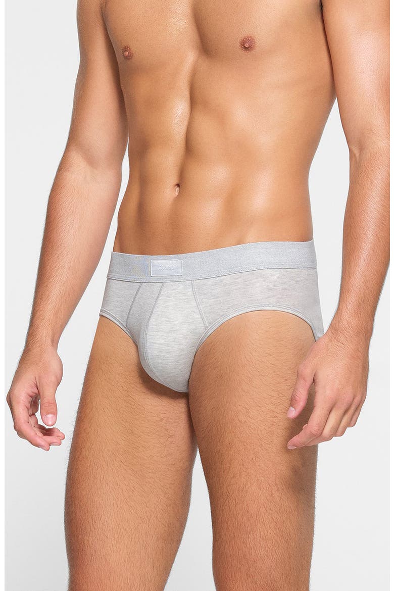 Cotton & Modal Blend Briefs, Alternate, color, LIGHT HEATHER GREY