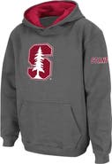 STADIUM ATHLETIC Youth Stadium Athletic Charcoal Stanford Cardinal Big Logo Pullover Hoodie