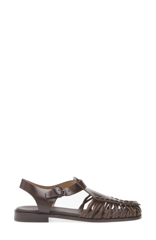 Hereu Alaro Ankle Strap Sandal In Brown