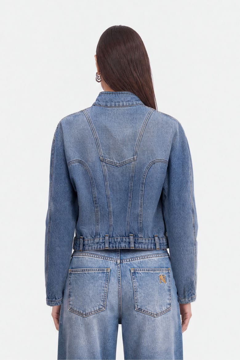Stand Collar Denim Jacket, Alternate, color, Blue