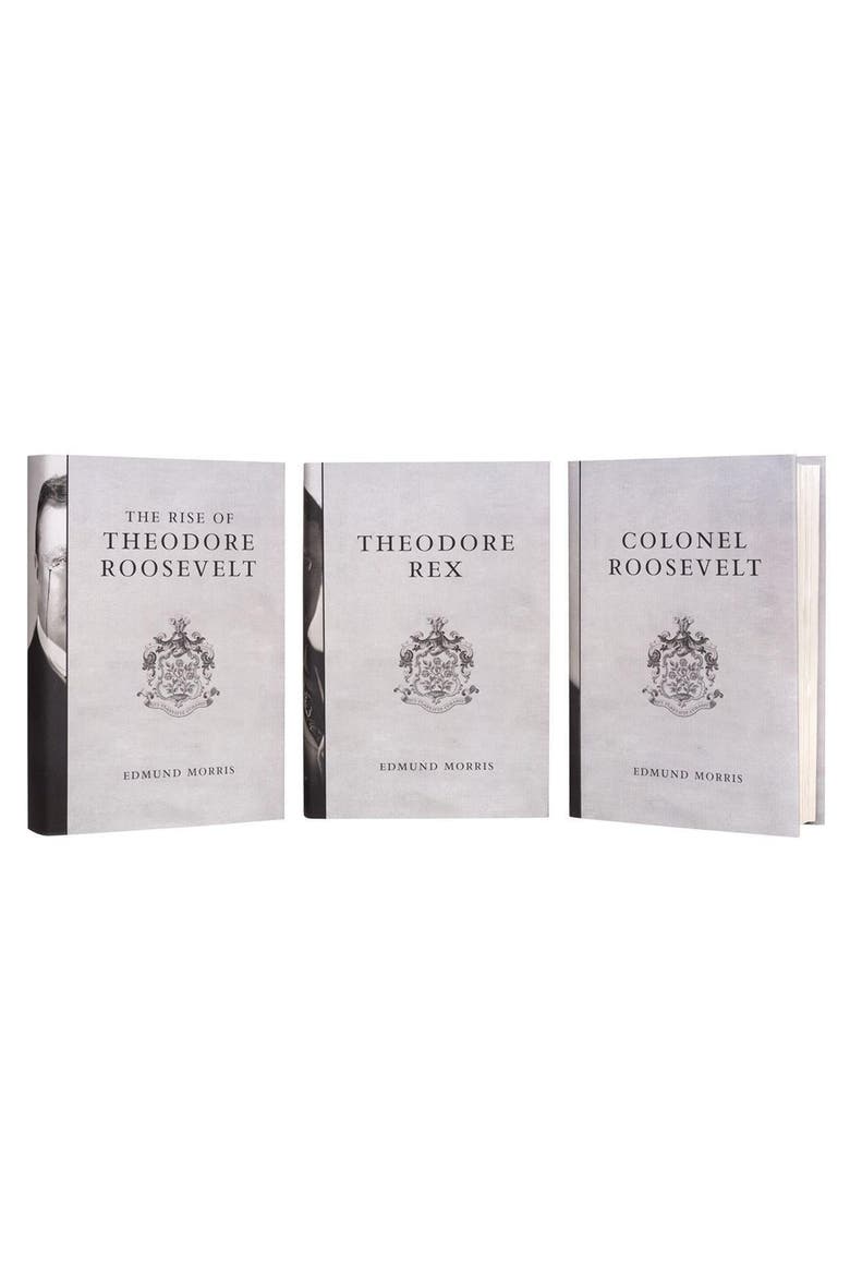 Theodore Roosevelt Book Set, Alternate, color, Cool Neutral