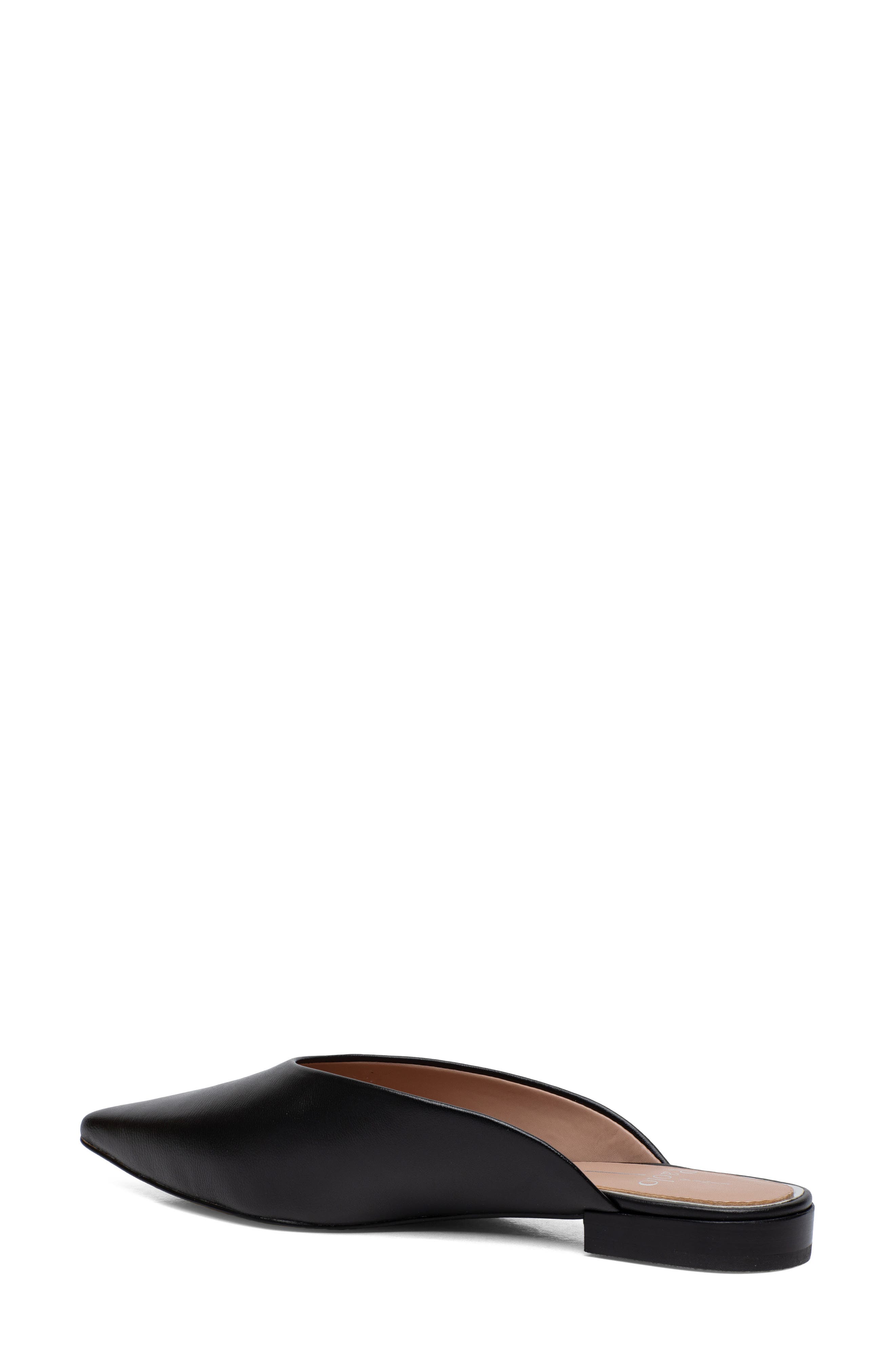 Linea Paolo Ayla Pointy Toe Mule, Alternate, color, 