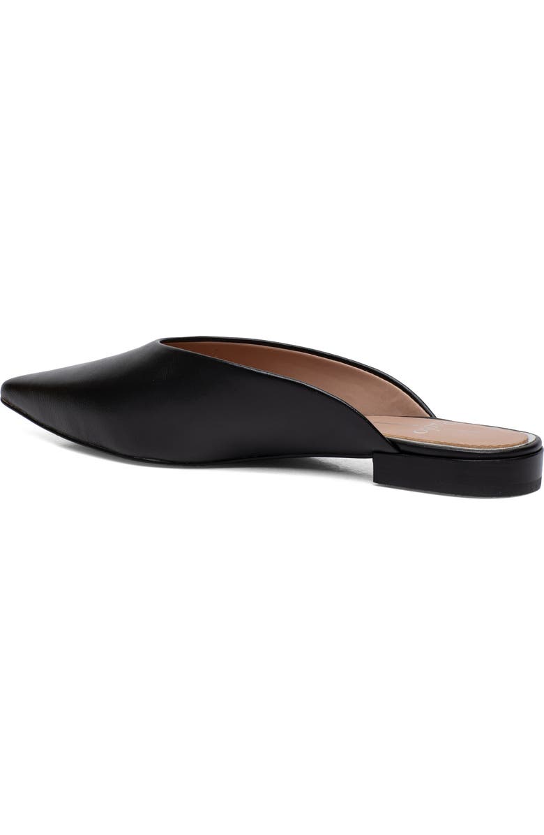 Linea Paolo Ayla Pointy Toe Mule, Alternate, color,
