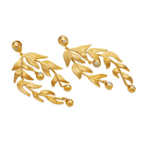Dhwani Bansal Sooki Chandelier Earrings In Gold Plated