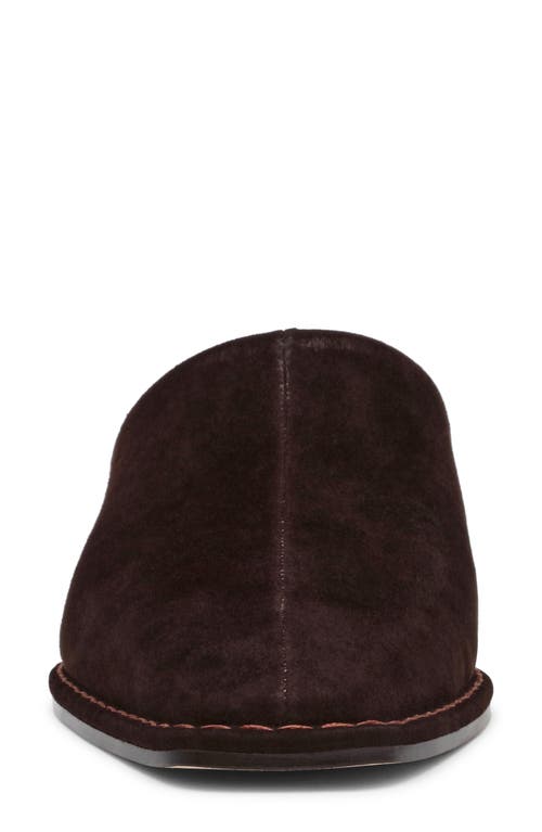 Steve Madden Dessa Mule