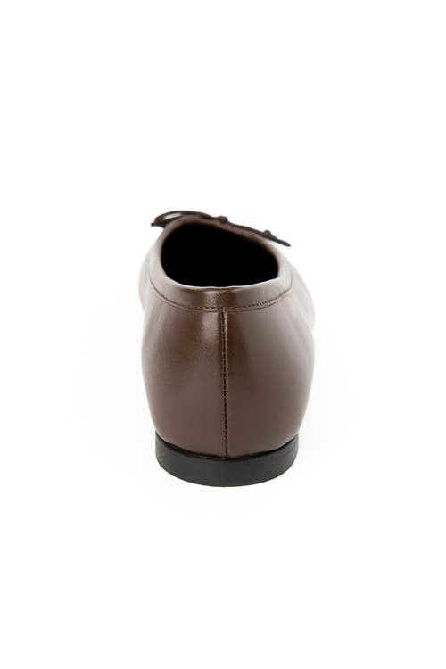 Menina Step Amelie Leather Ballet Flat In Brown