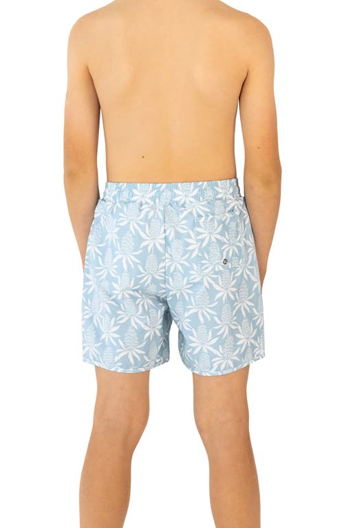 Lake Label Board Short Swimsuit