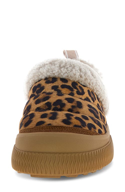 Voile Blanche Pan Genuine Shearling Loafer In Brown