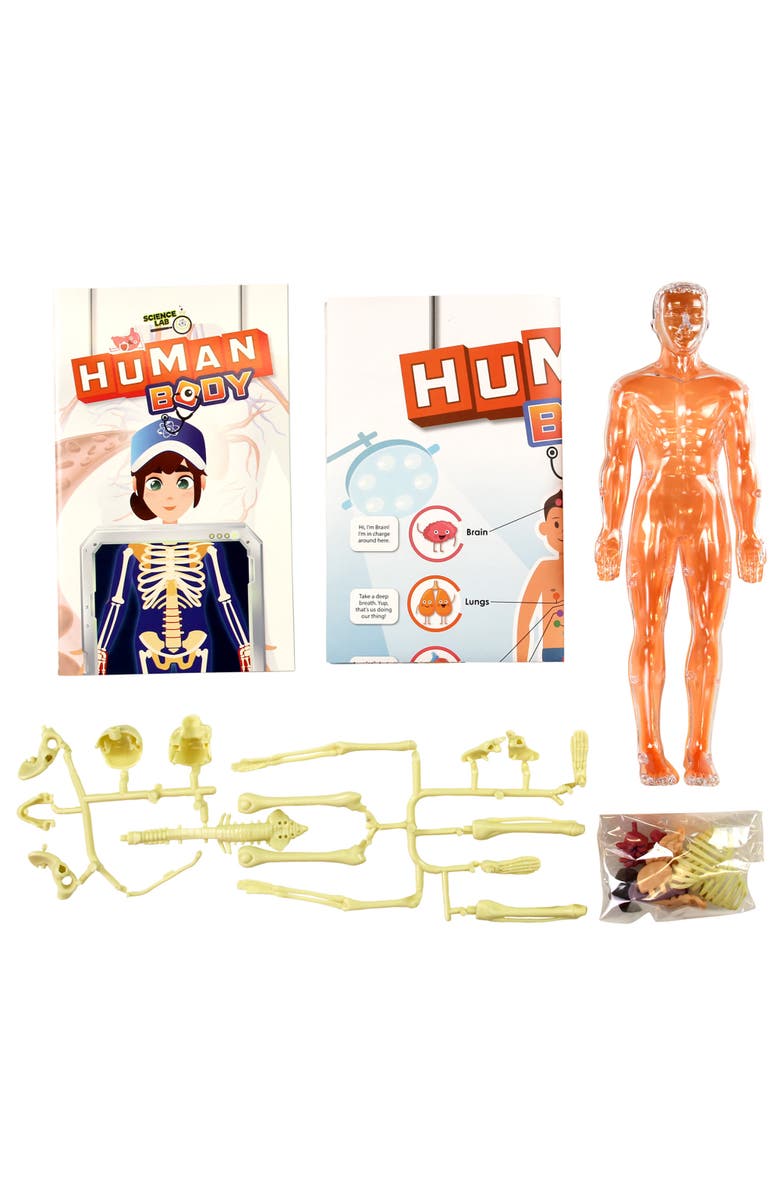 Science Lab Human Body Kit, Alternate, color, 