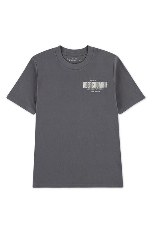 Abercrombie Kids Kids' 1892 Logo Boxy Graphic T-shirt In Gray