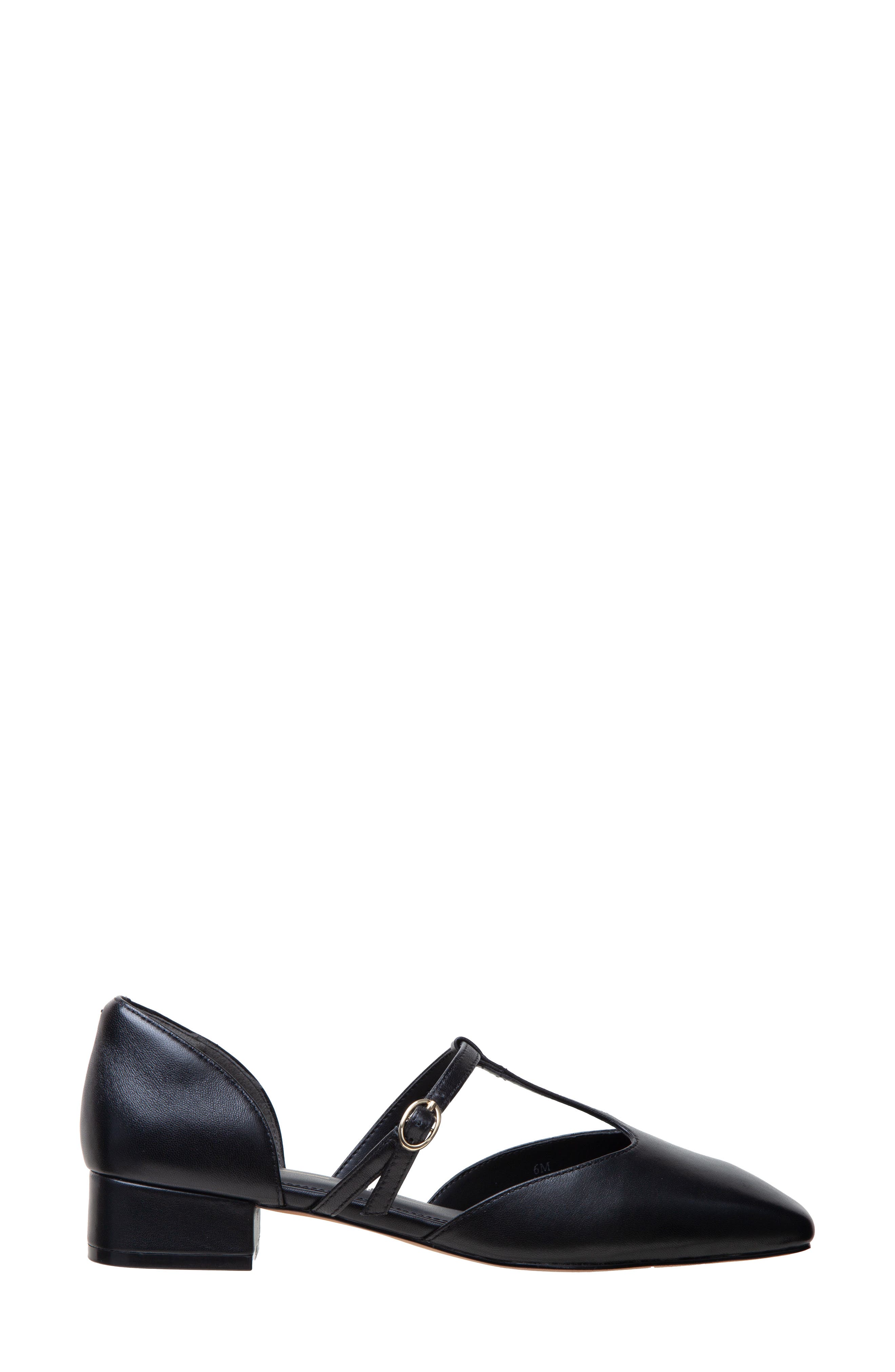 Linea Paolo Coralee Mary Jane Pump, Alternate, color, Black