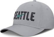 Nike Men's Nike  Gray Seattle Mariners Primetime Rise Dri-FIT Flex Hat