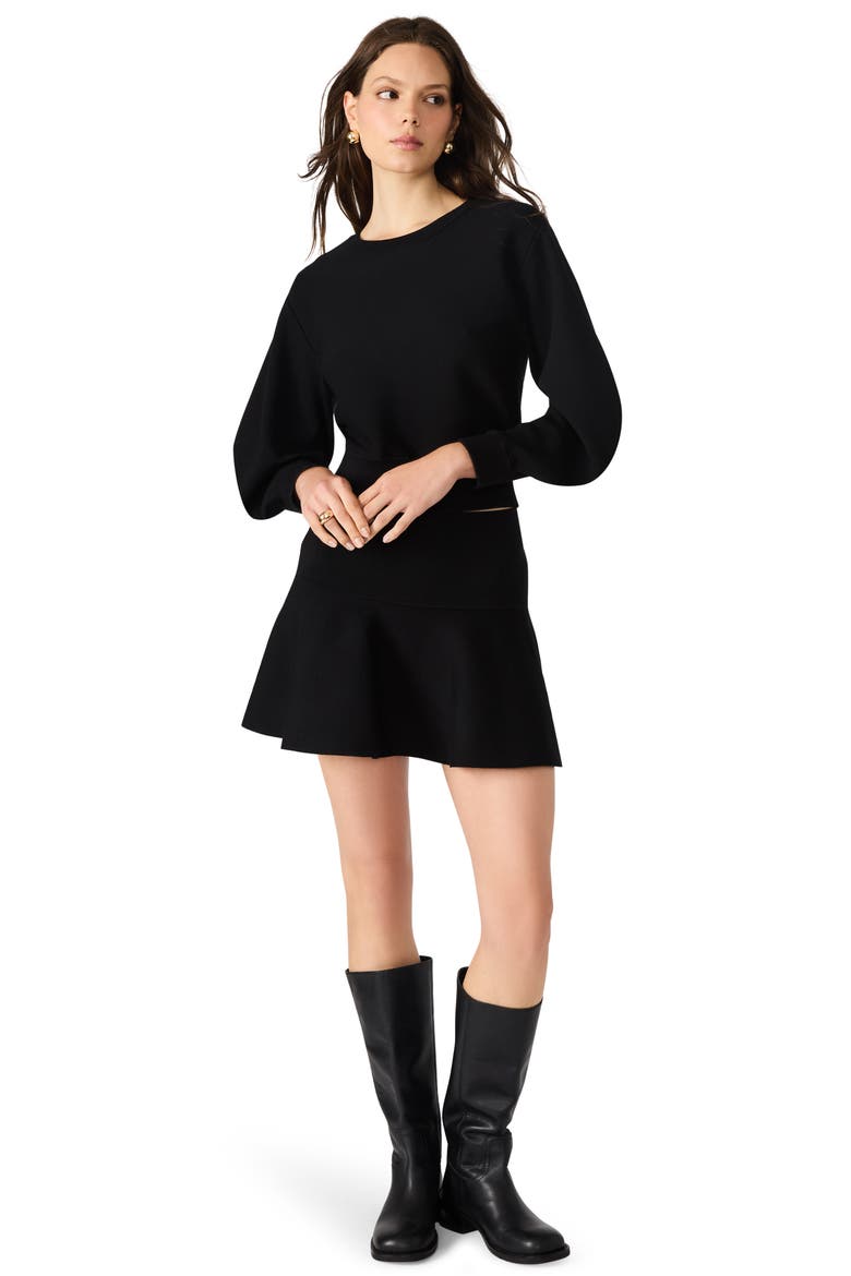 Rosina A-Line Miniskirt, Alternate, color, BLACK