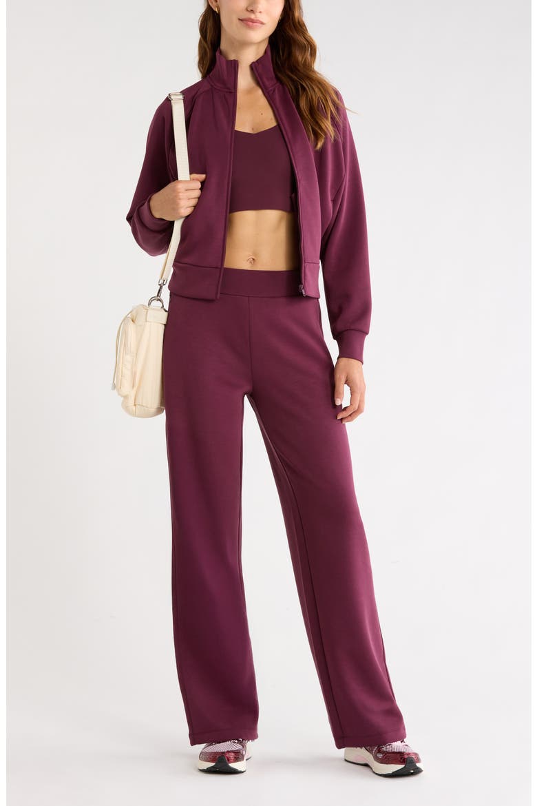 Cozy Luxe Track Jacket, Alternate, color, BURGUNDY STEM