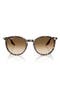  Havana Yellow Turtle / Clear