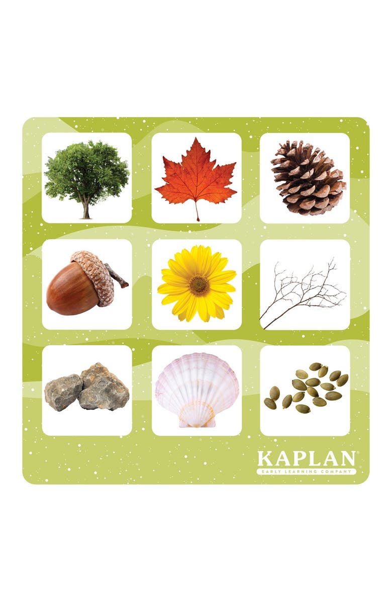 Kaplan Early Learning Company Shadow Matching and Memory Game, Alternate, color, Multicolored