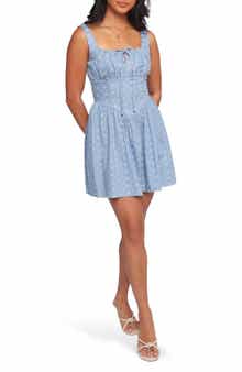 Petal & Pup Shelton Embroidered Cotton Mini Sundress