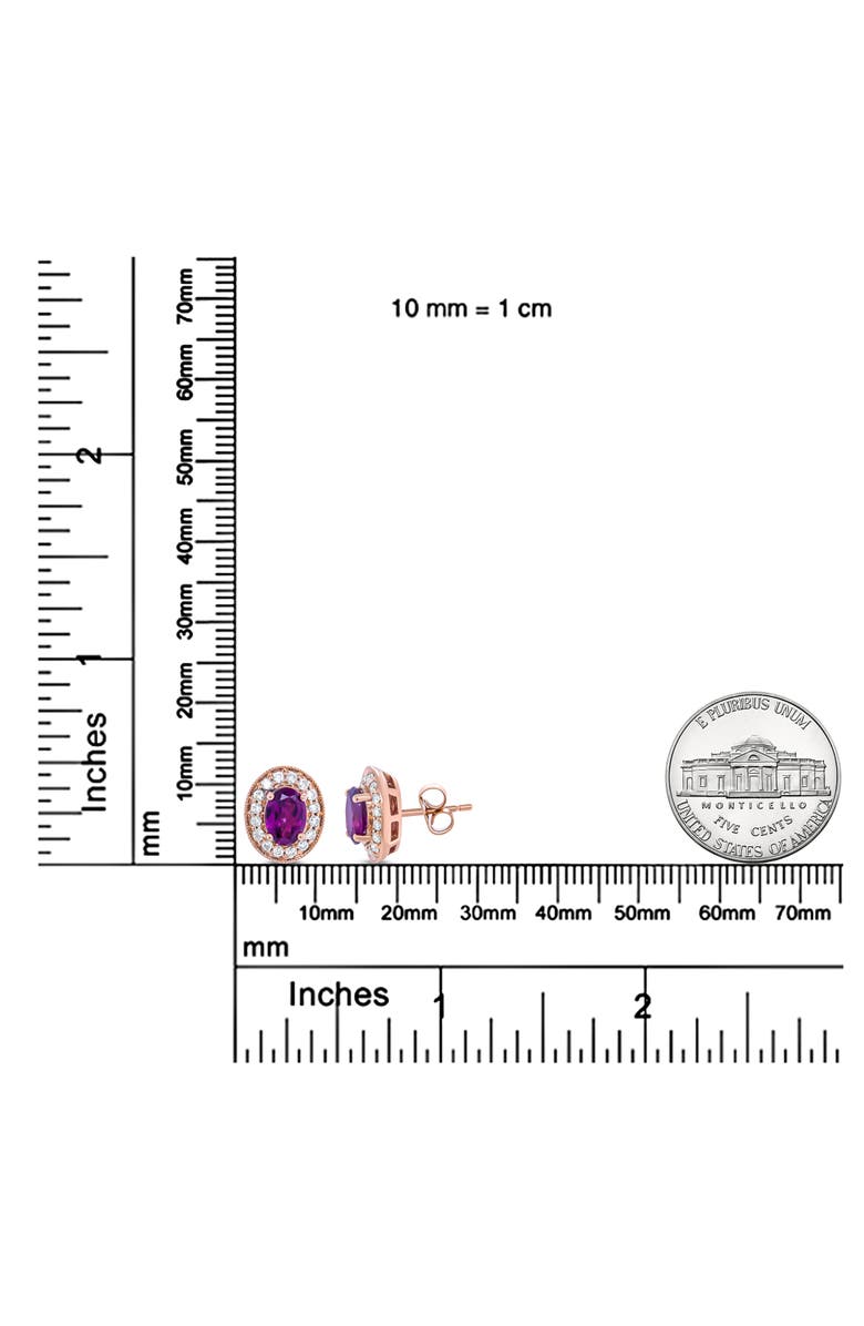 Haus of Brilliance 14K Rose Gold Garnet and 3/8 Cttw Diamond Halo Stud Earrings, Alternate, color, Pink