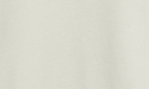 The North Face Evolution Half Dome Mountain Graphic Hoodie In Neutral