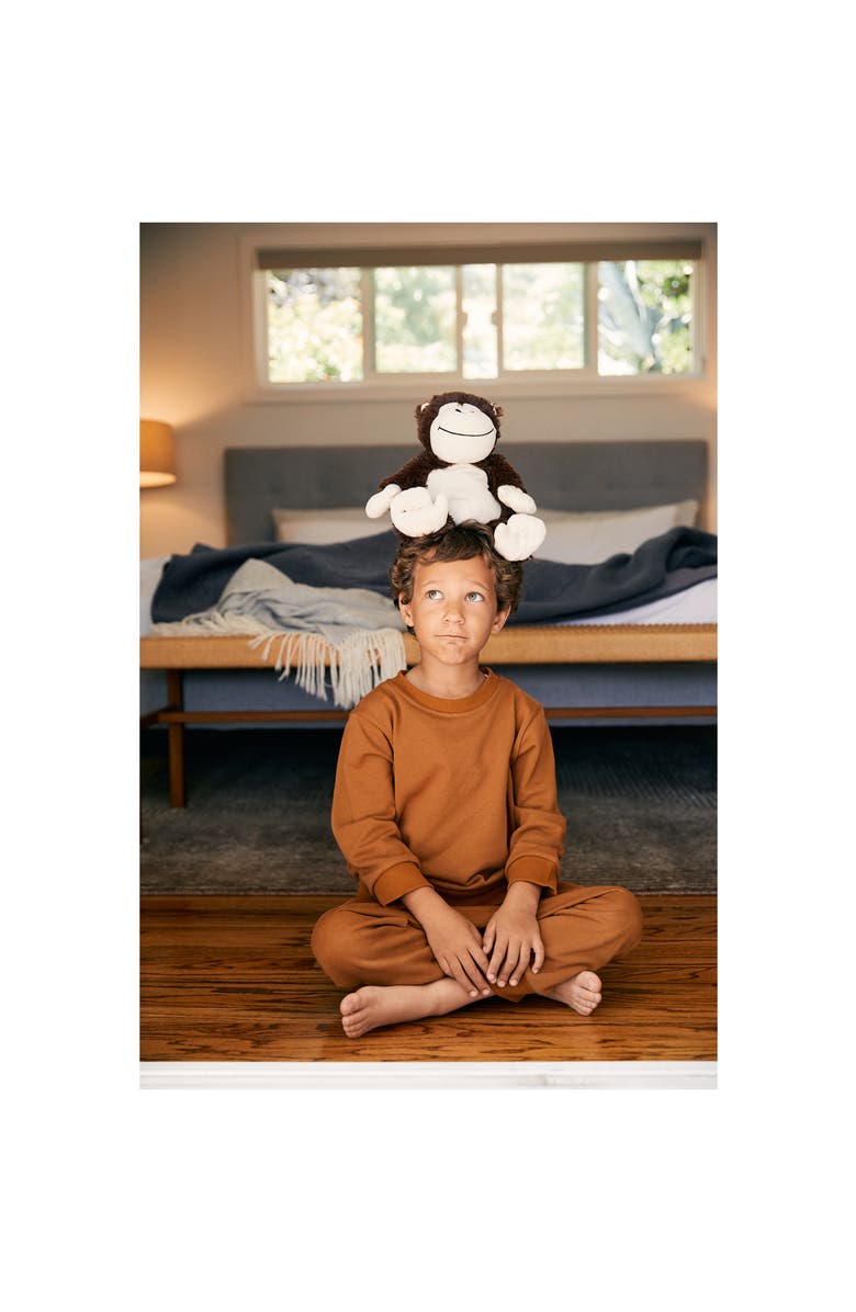 Warmies Monkey Plush Toy, Alternate, color, Dark Brown