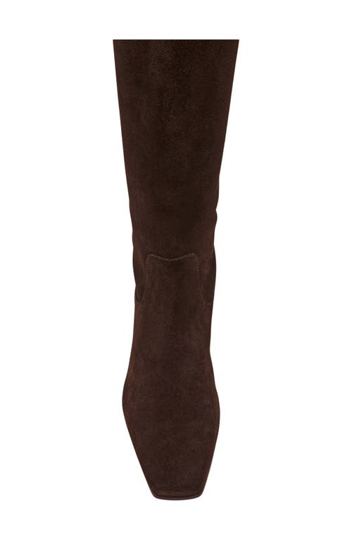 Steve Madden Dantelle Knee High Boot In Brown