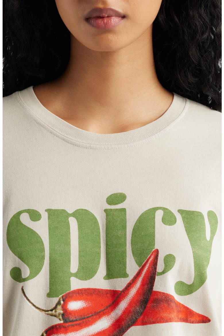 Spicy Graphic T-Shirt, Alternate, color, BIRCH