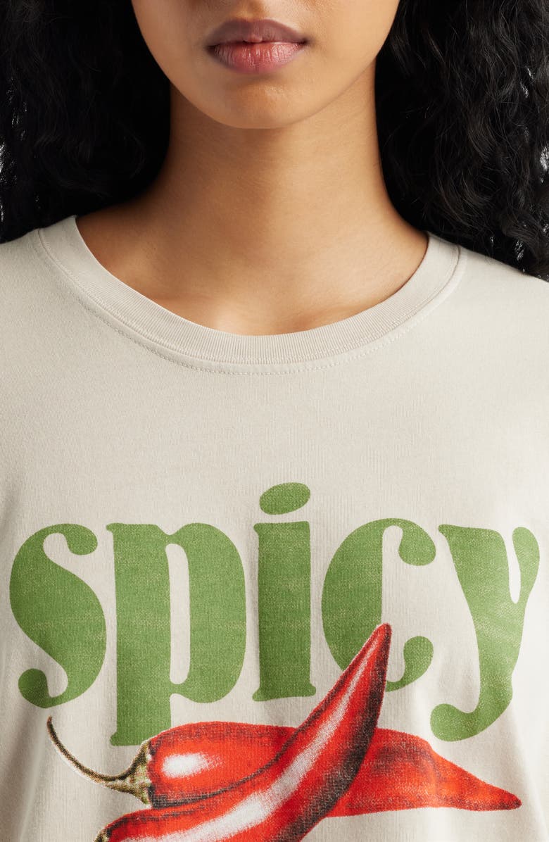 Junk Food Spicy Graphic T-Shirt, Alternate, color, Birch