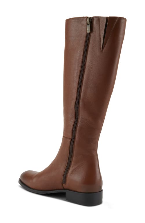 Spring Step Hightail Knee High Boot In Brown