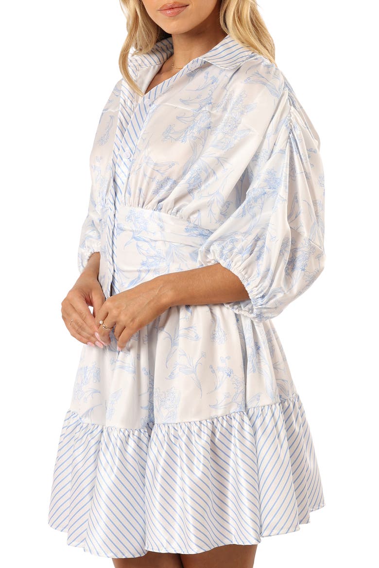 Leigha Floral & Stripe Shirtdress, Alternate, color, BLUE