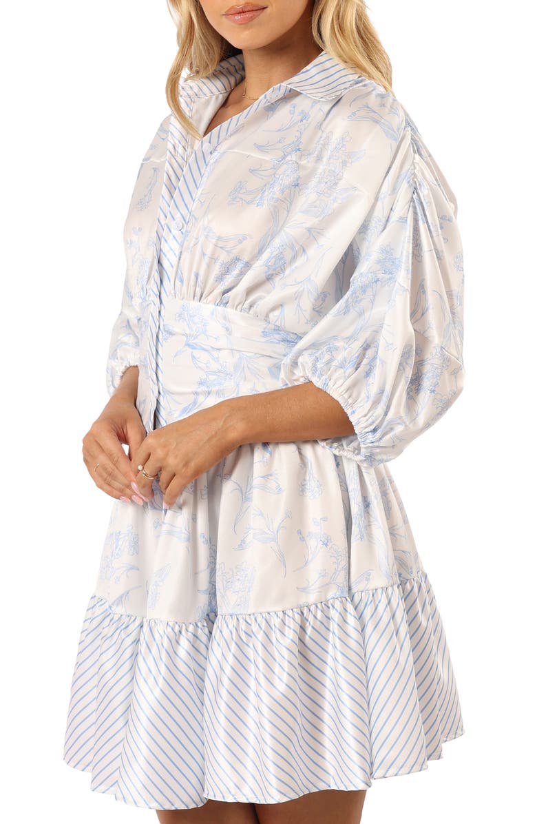 Petal & Pup Leigha Floral & Stripe Shirtdress, Alternate, color, Blue